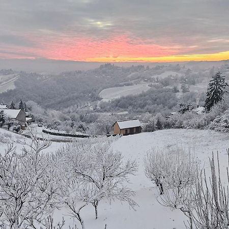 Wine Panorama House Βίλα Jastrebarsko Εξωτερικό φωτογραφία