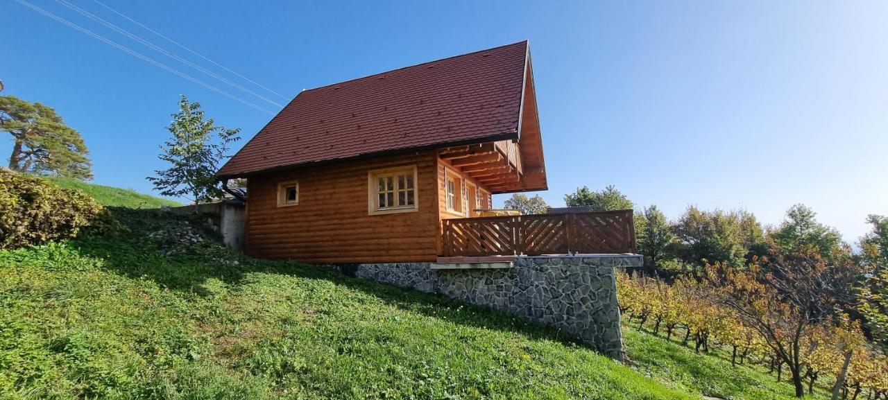 Wine Panorama House Βίλα Jastrebarsko Εξωτερικό φωτογραφία