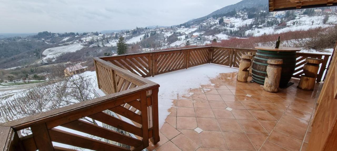 Wine Panorama House Βίλα Jastrebarsko Εξωτερικό φωτογραφία
